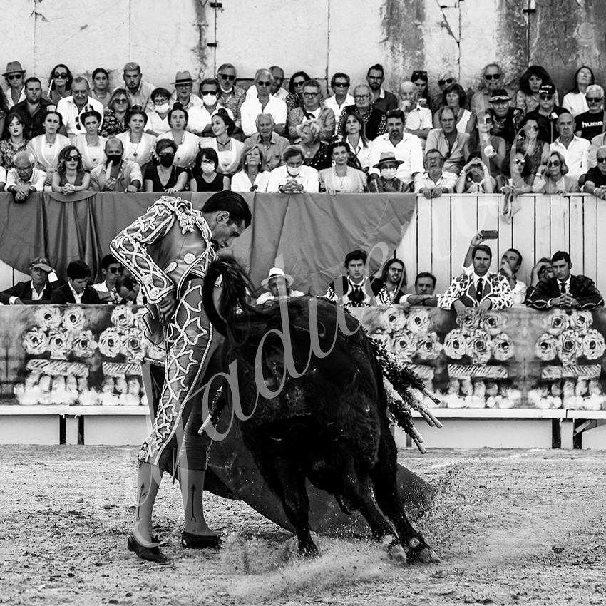 Arles 20210911 alfaduende 008 fd