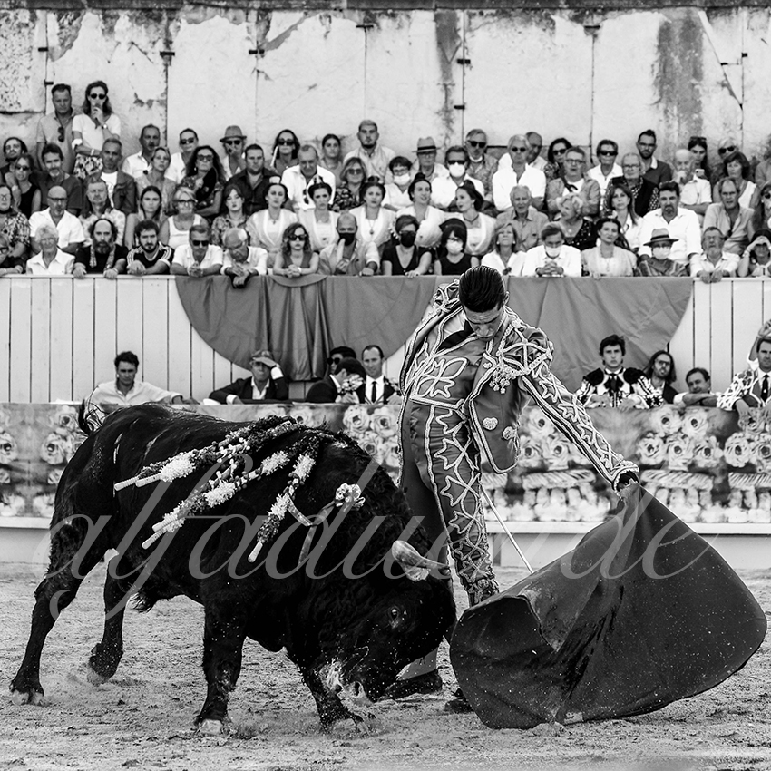 Arles 20210911 alfaduende 009 fd