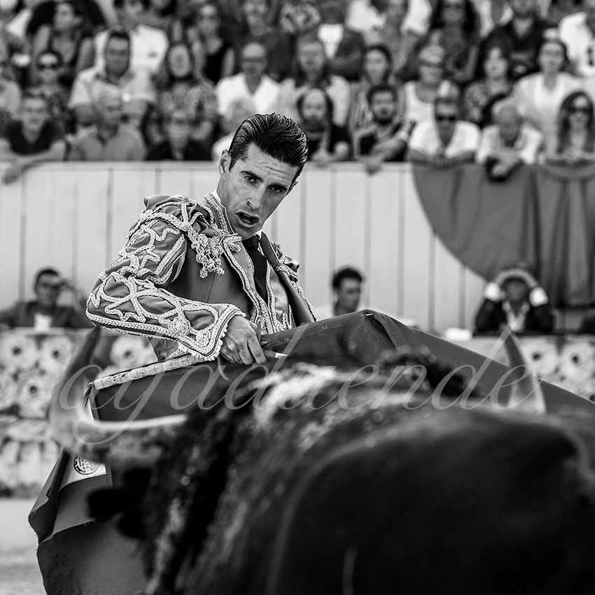 Arles 20210911 alfaduende 010 fd