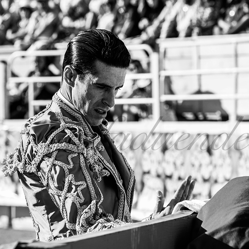 Arles 20210911 alfaduende 011 fd