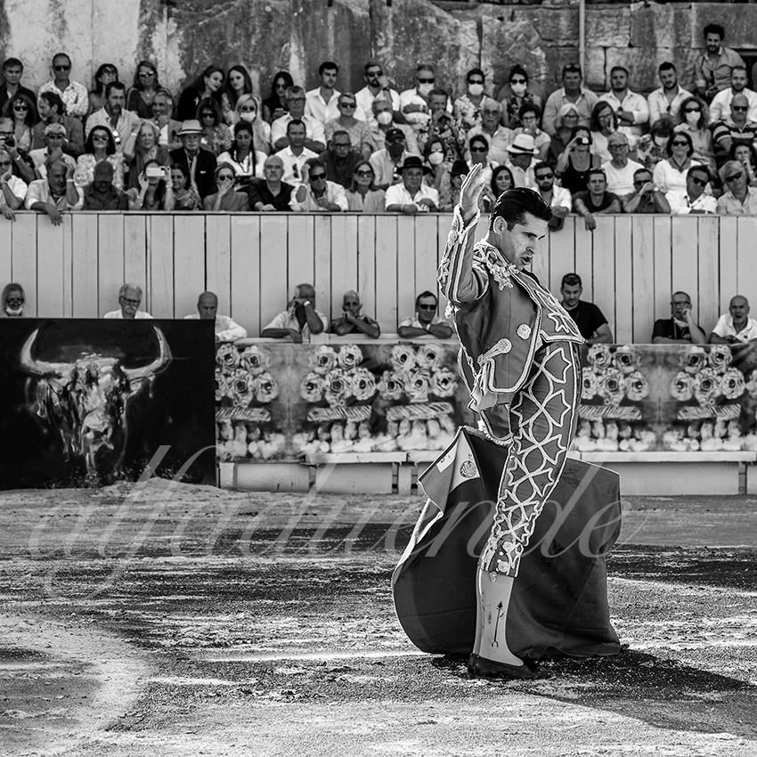 Arles 20210911 alfaduende 012 fd