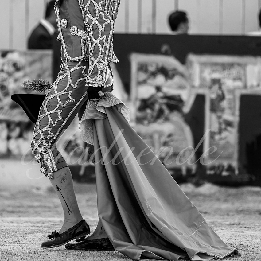 Arles 20210911 alfaduende 013 fd