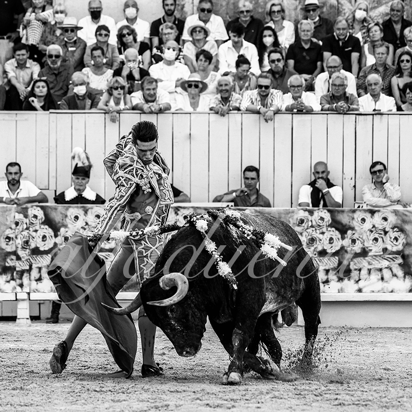 Arles 20210911 alfaduende 014 fd