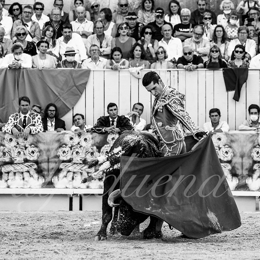 Arles 20210911 alfaduende 015 fd