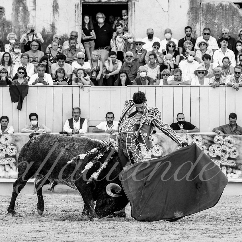 Arles 20210911 alfaduende 016 fd