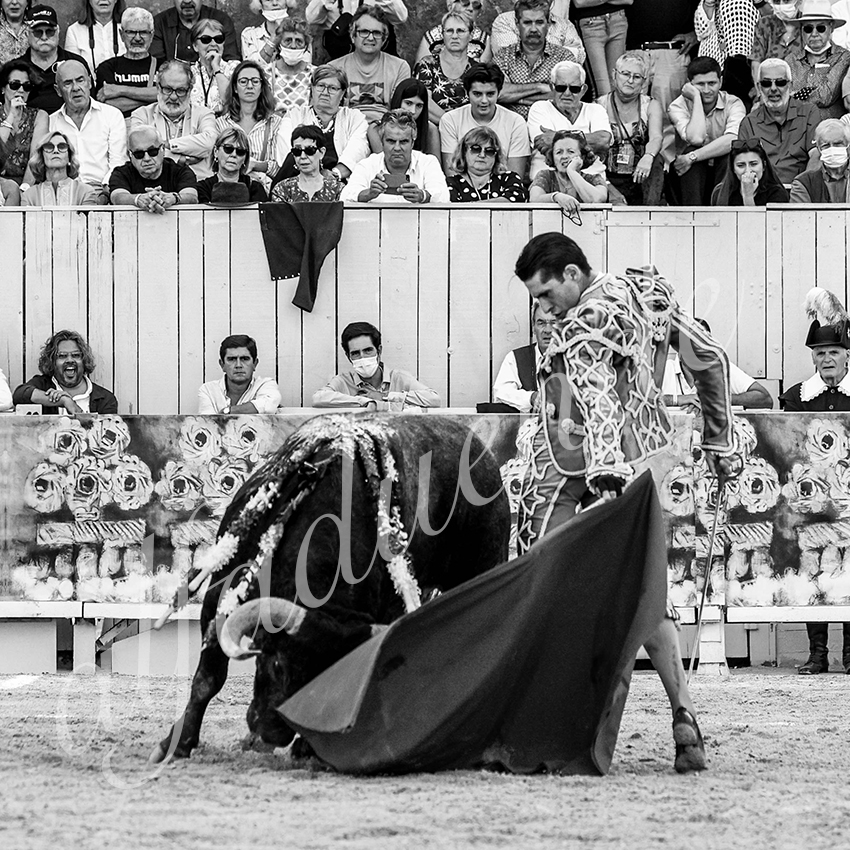 Arles 20210911 alfaduende 017 fd