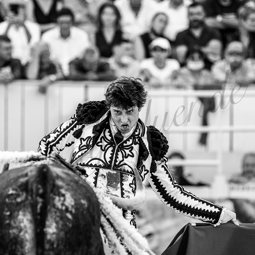 Arles 20210911 alfaduende 019 fd