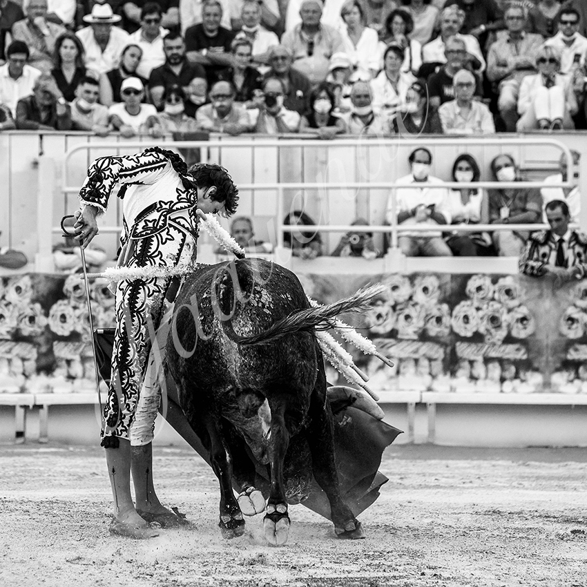 Arles 20210911 alfaduende 020 fd