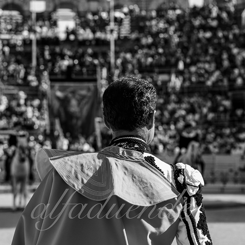 Arles 20210912 alfaduende 002 fd