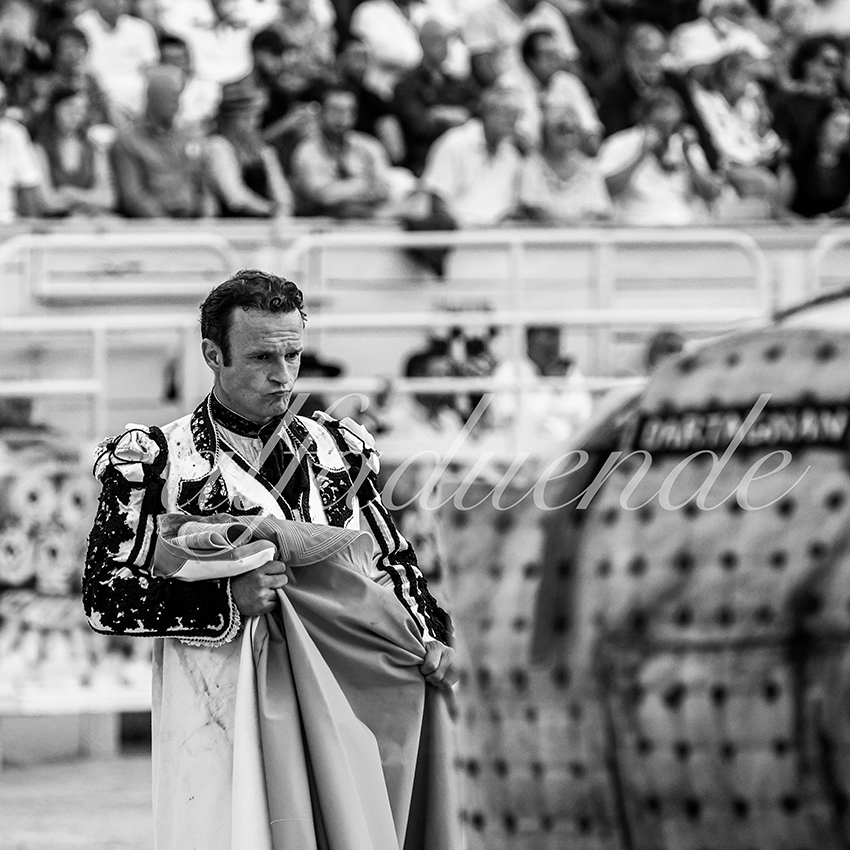 Arles 20210912 alfaduende 003 fd