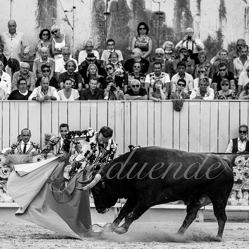 Arles 20210912 alfaduende 004 fd