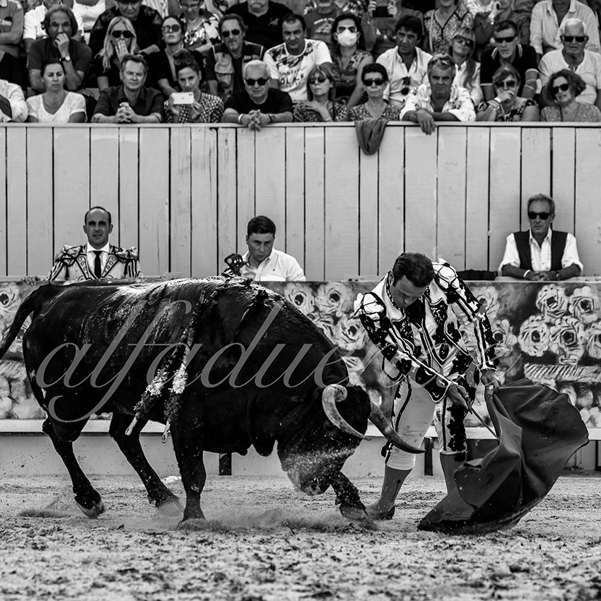 Arles 20210912 alfaduende 005 fd