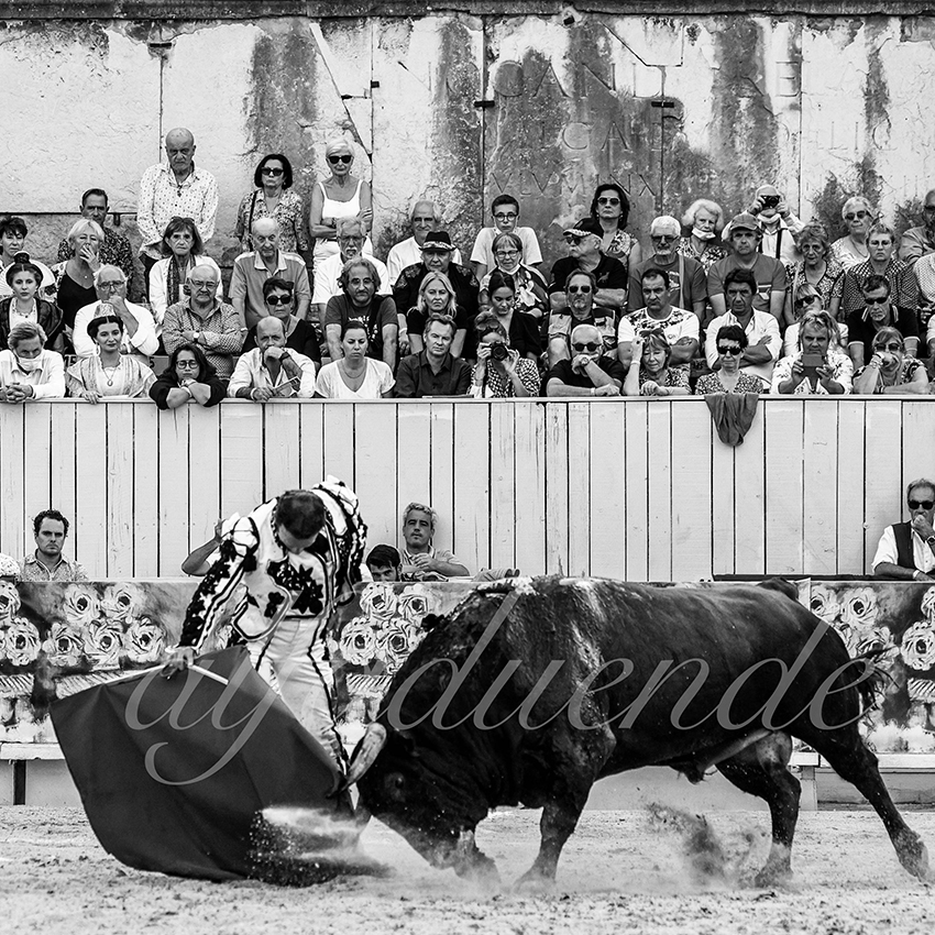 Arles 20210912 alfaduende 006 fd