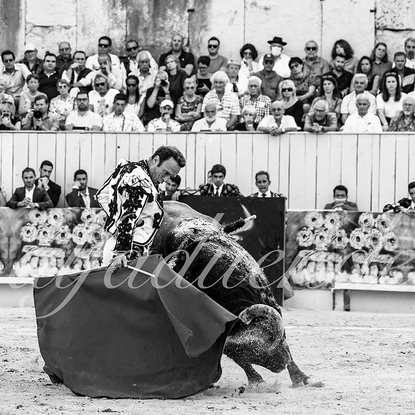 Arles 20210912 alfaduende 007 fd