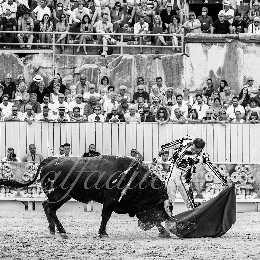 Arles 20210912 alfaduende 008 fd