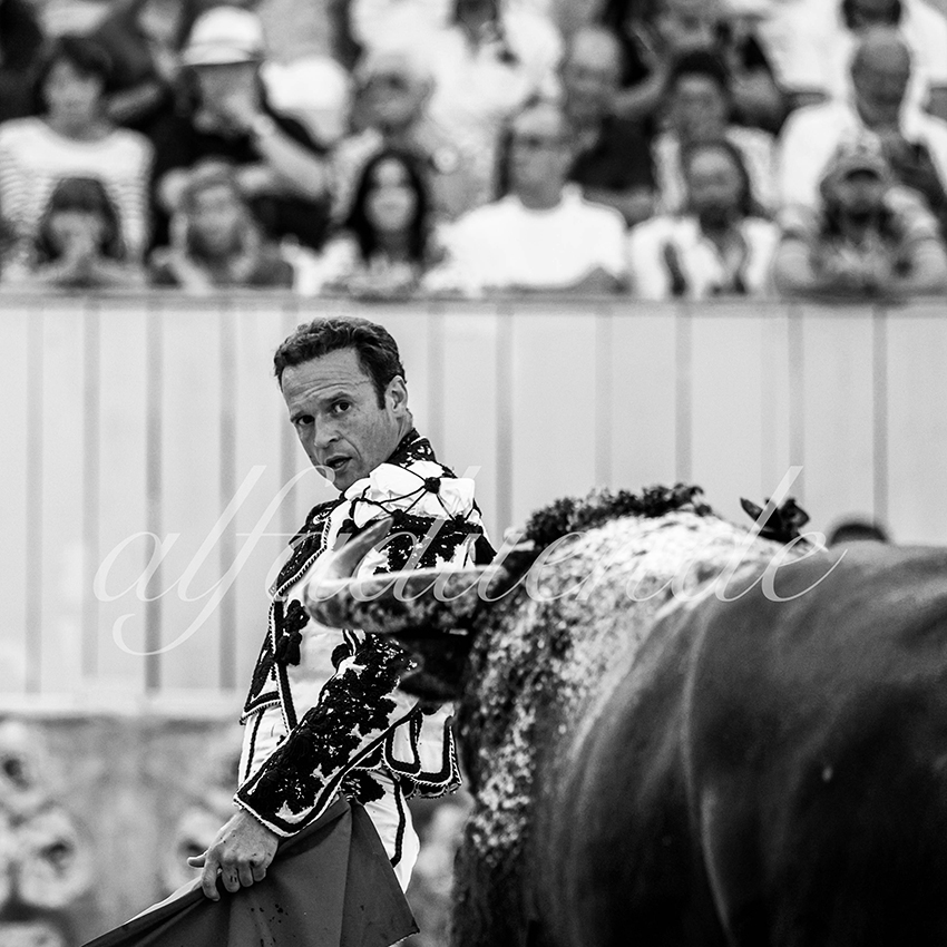 Arles 20210912 alfaduende 009 fd