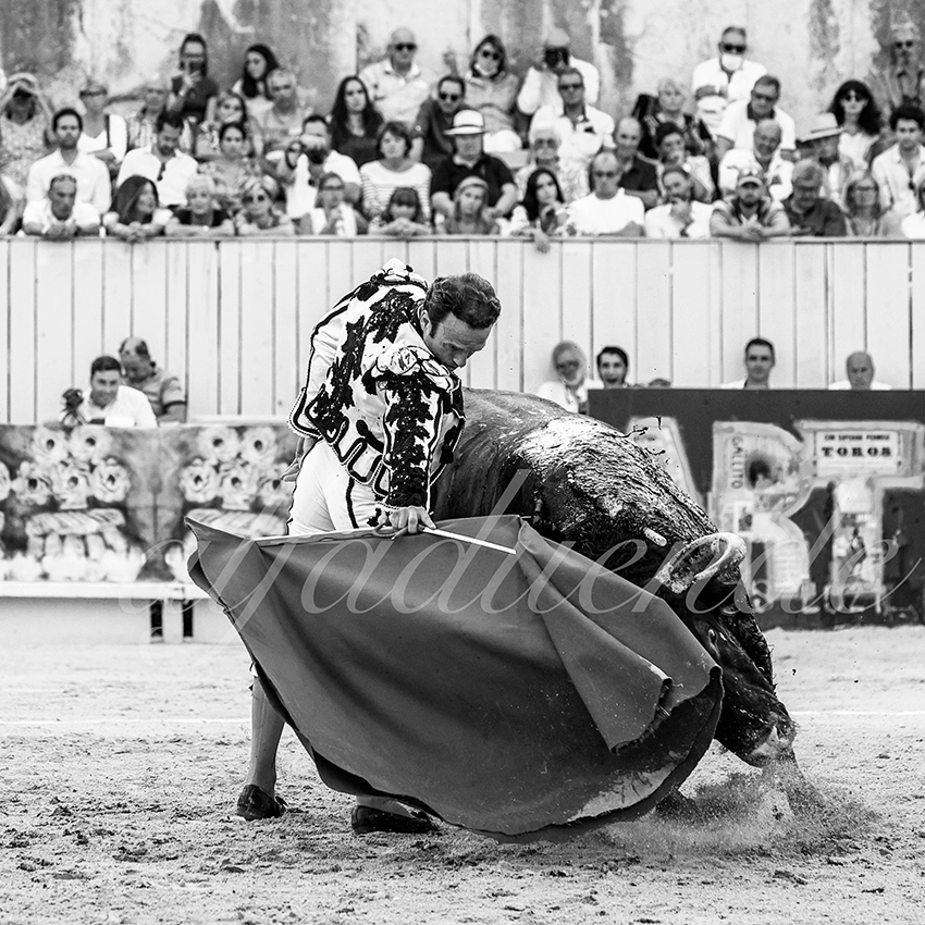 Arles 20210912 alfaduende 010 fd