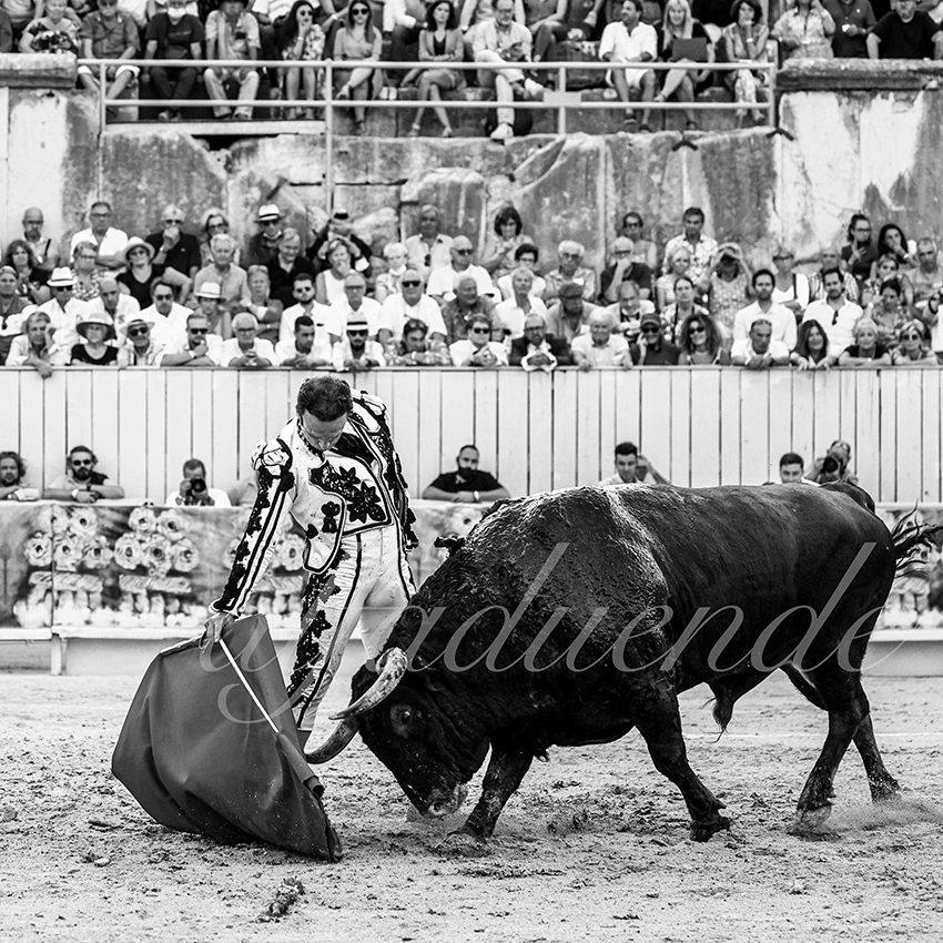 Arles 20210912 alfaduende 011 fd