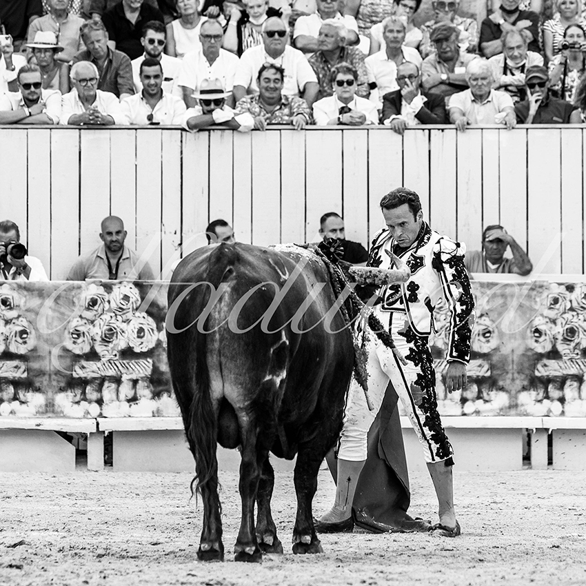 Arles 20210912 alfaduende 013 fd