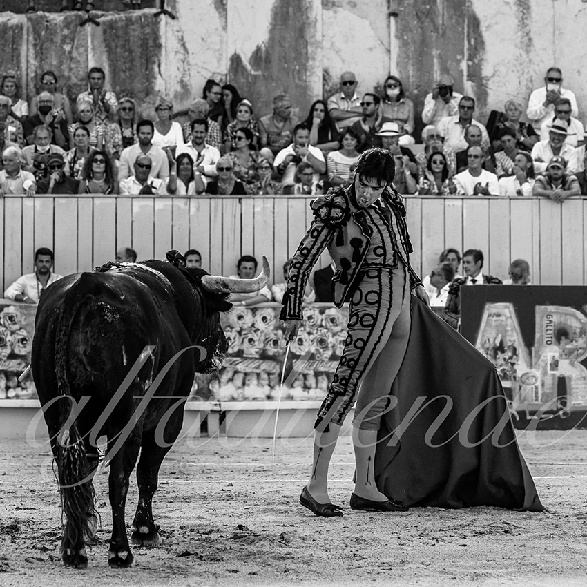 Arles 20210912 alfaduende 016 fd