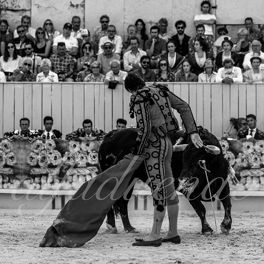 Arles 20210912 alfaduende 017 fd