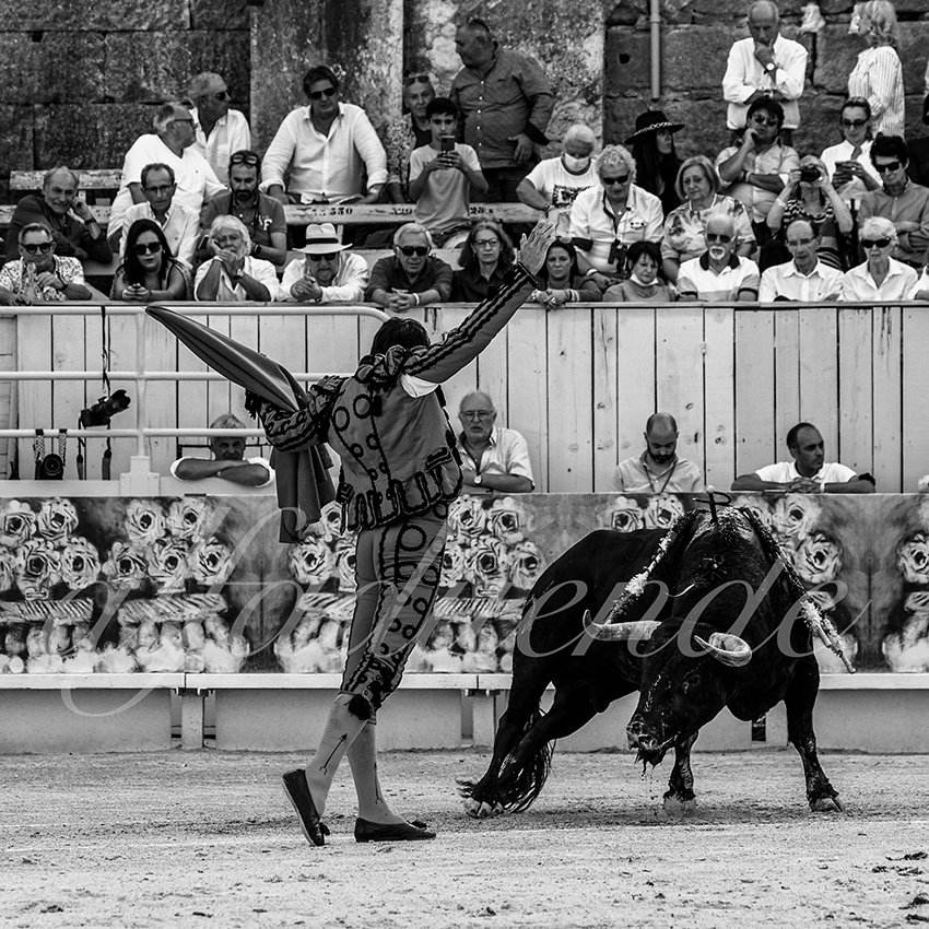 Arles 20210912 alfaduende 018 fd