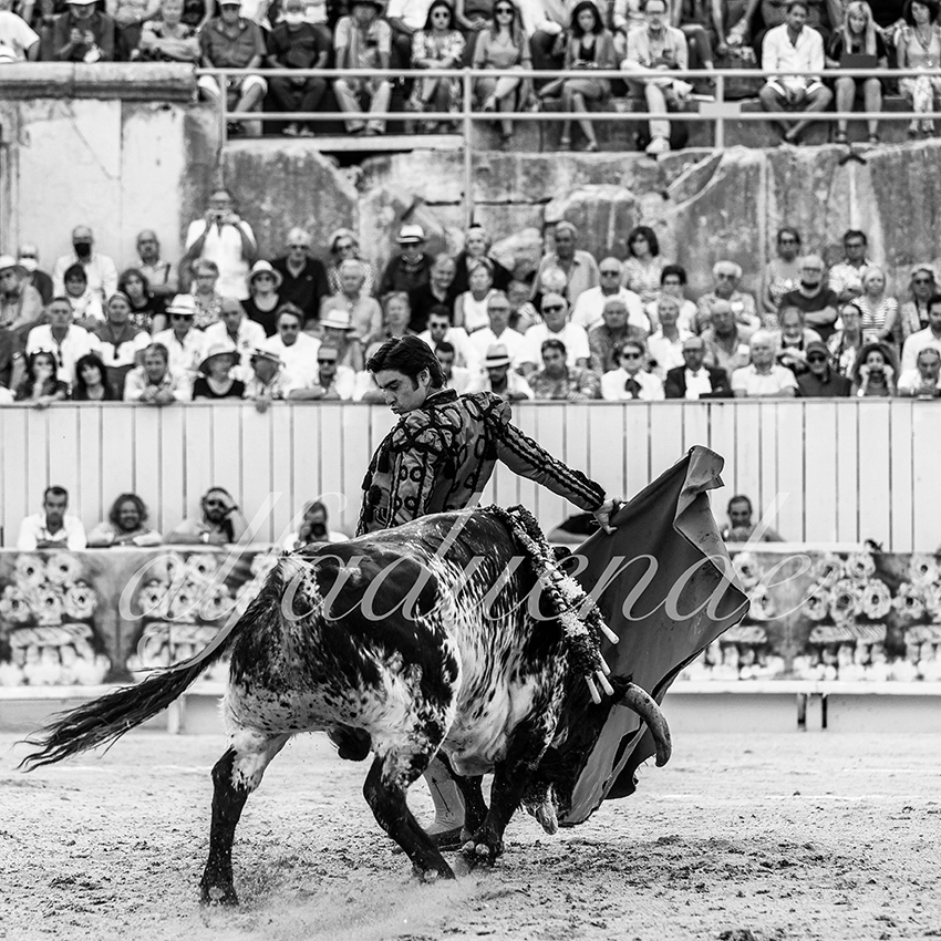 Arles 20210912 alfaduende 019 fd