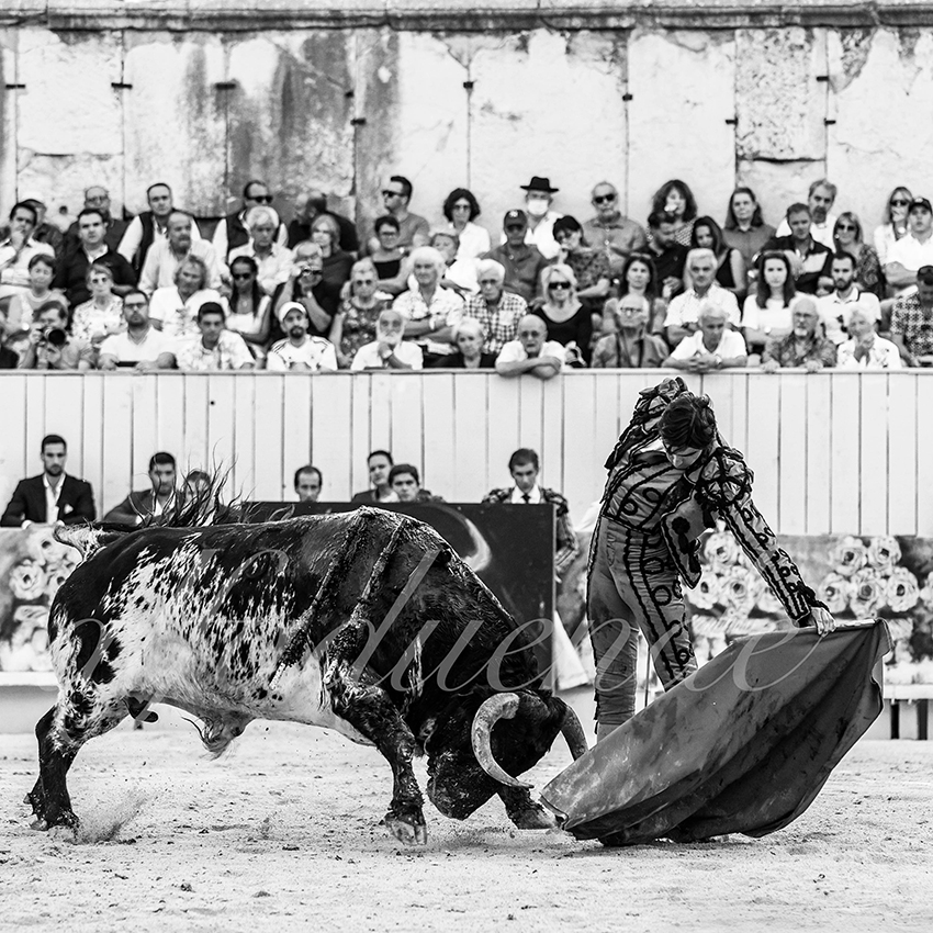 Arles 20210912 alfaduende 020 fd