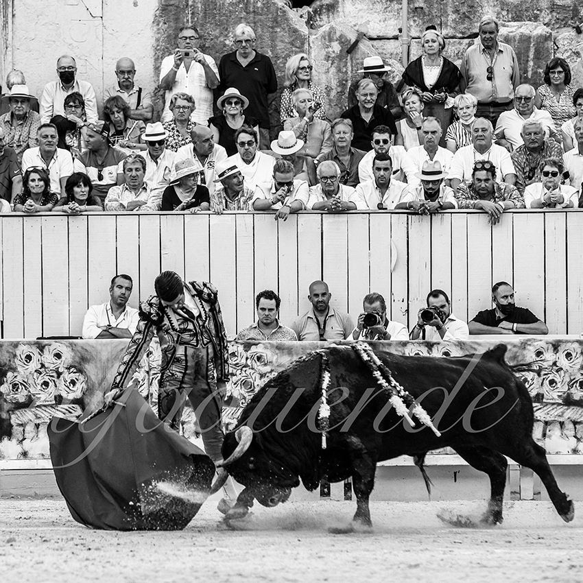 Arles 20210912 alfaduende 021 fd