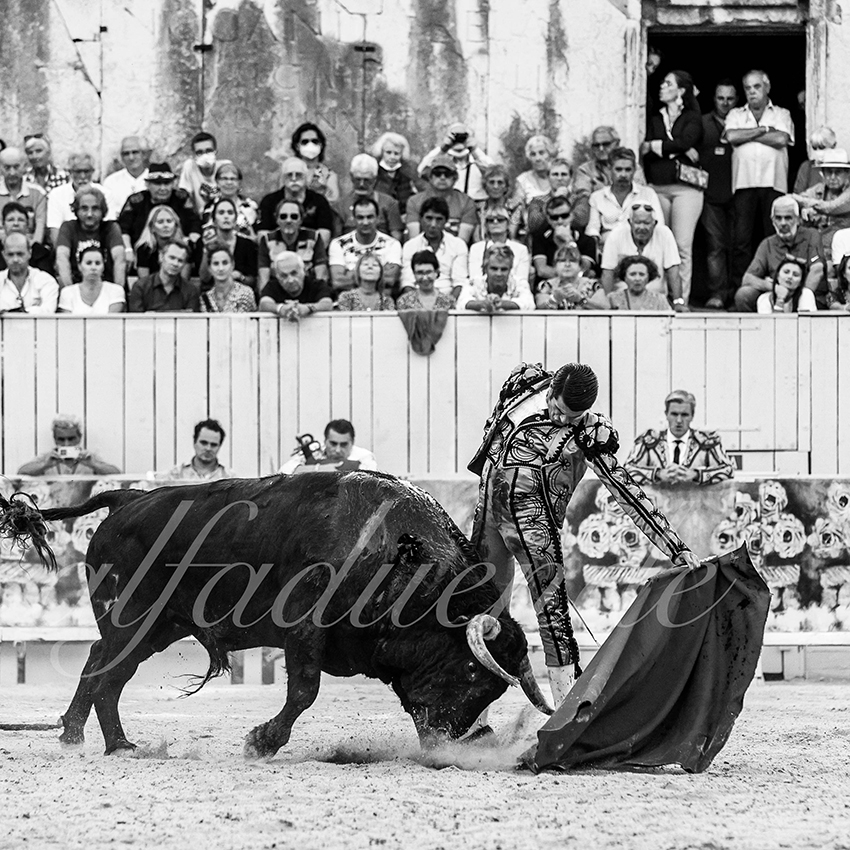 Arles 20210912 alfaduende 022 fd