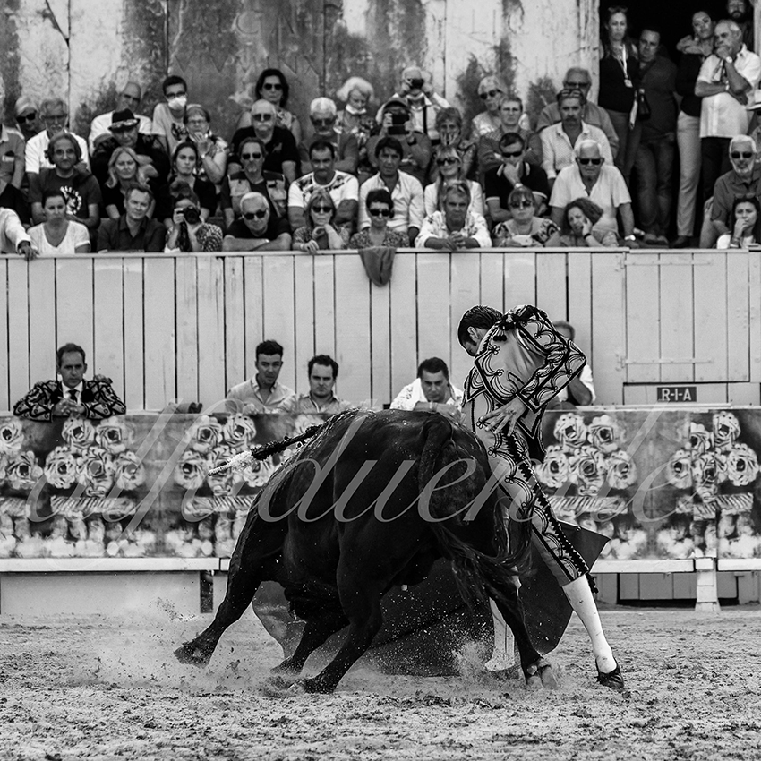 Arles 20210912 alfaduende 023 fd