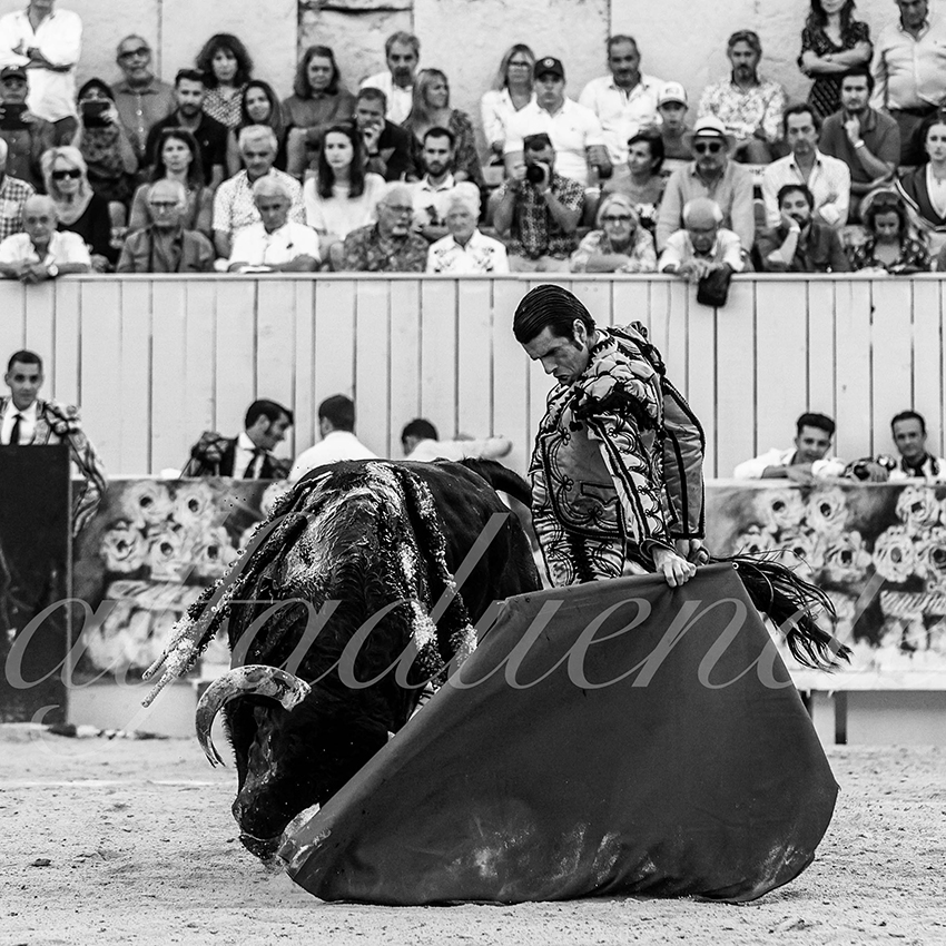 Arles 20210912 alfaduende 024 fd