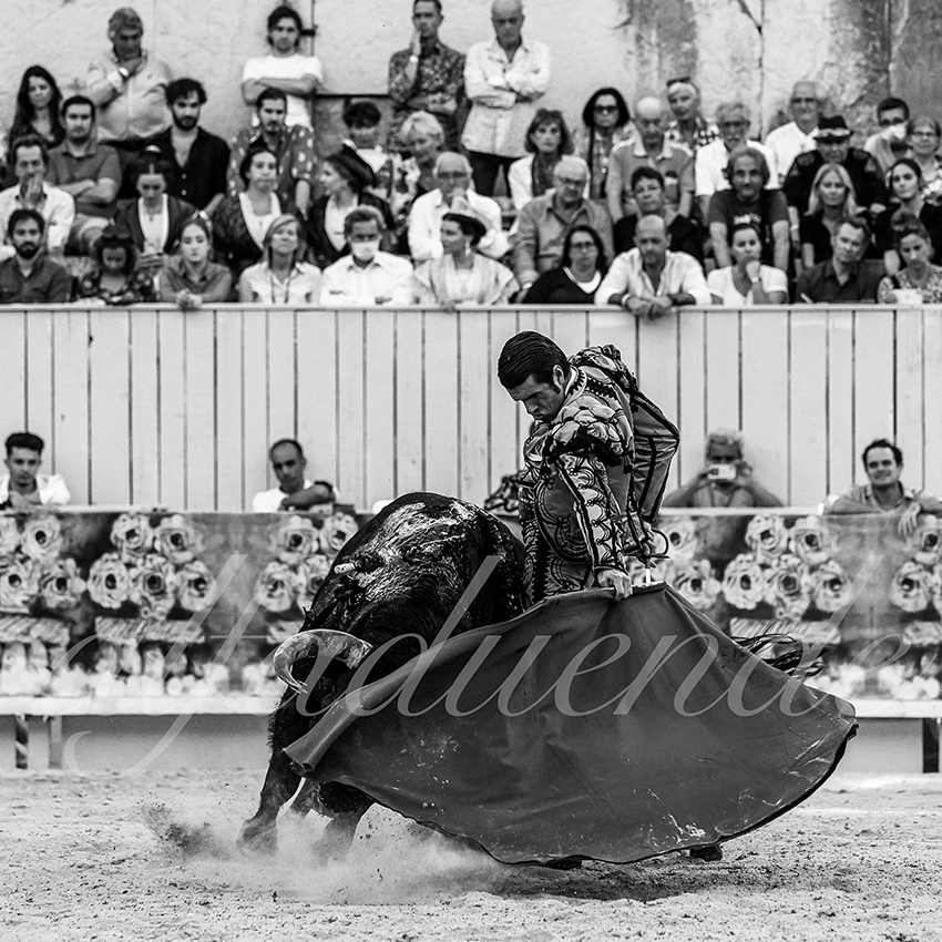 Arles 20210912 alfaduende 025 fd