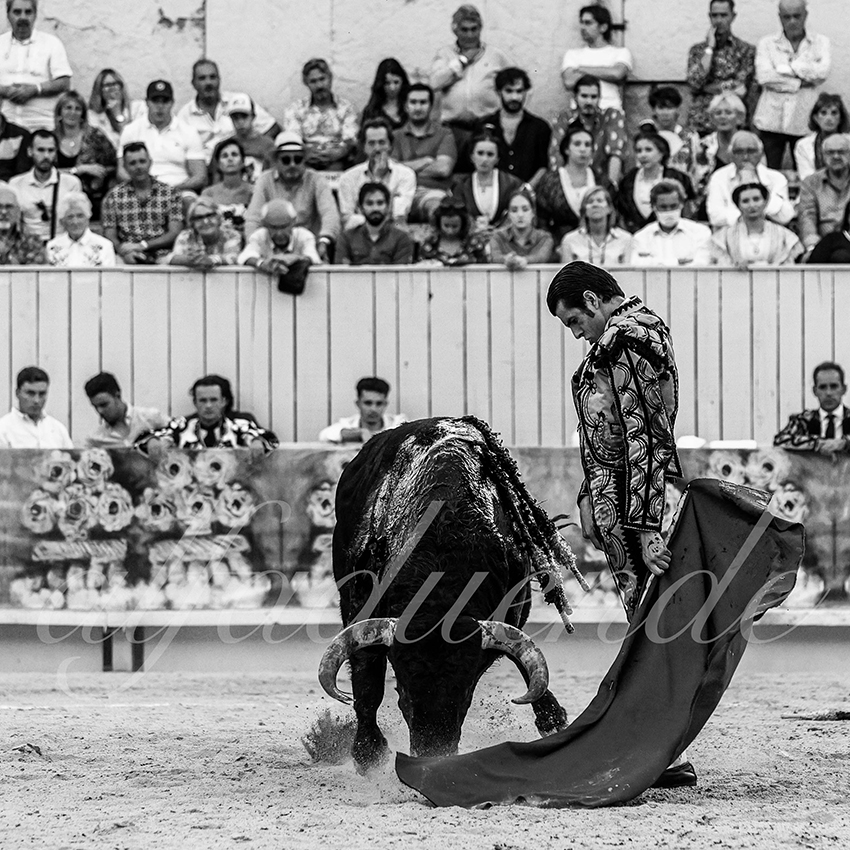 Arles 20210912 alfaduende 026 fd