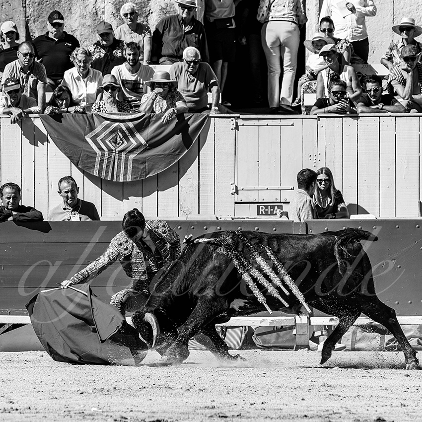 20220911 nsp arles 001