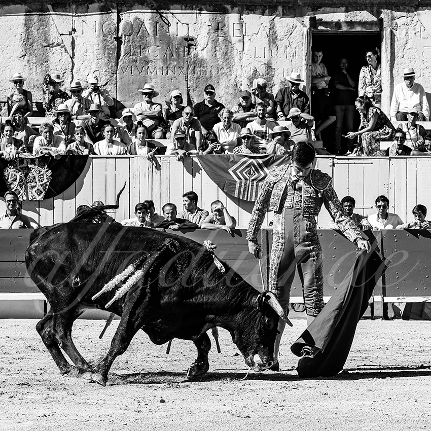 20220911 nsp arles 002