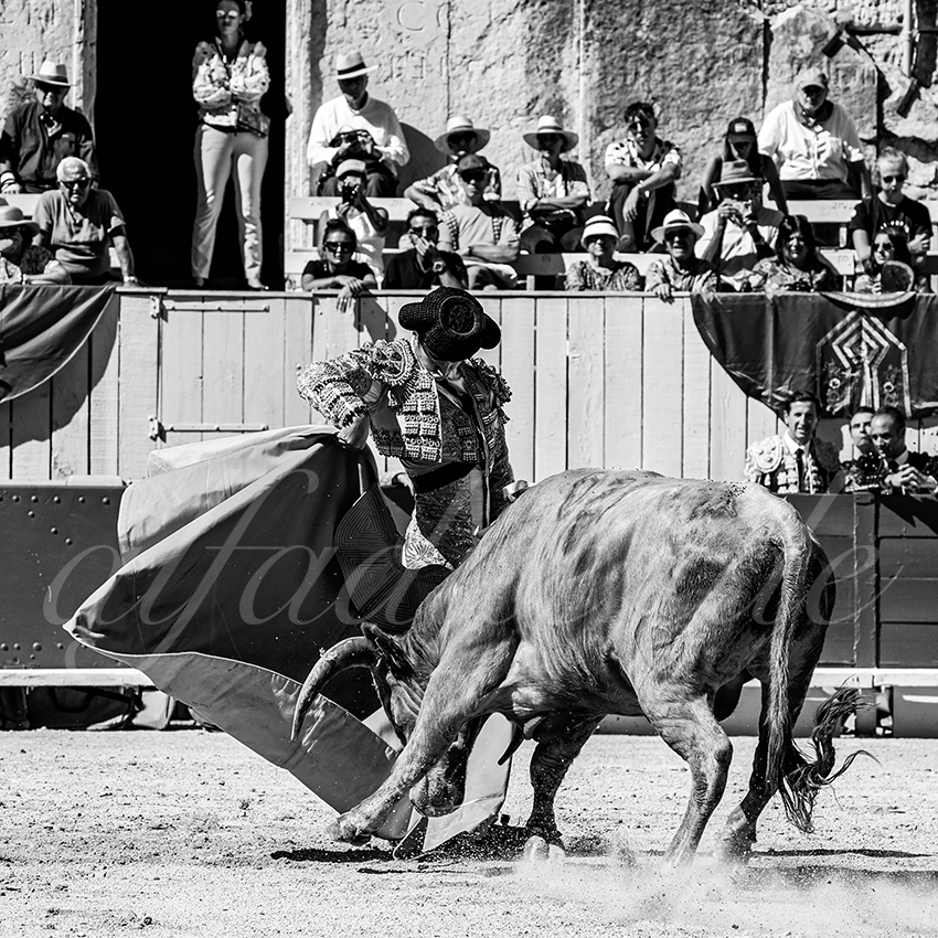 20220911 nsp arles 003