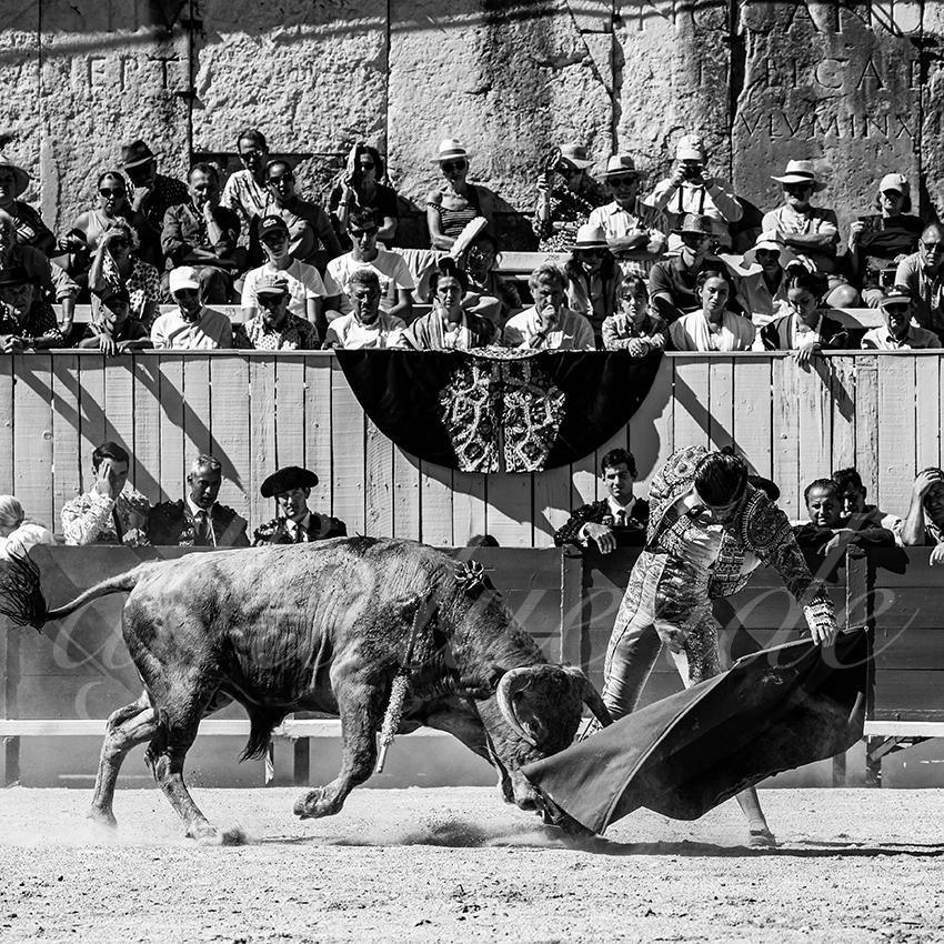 20220911 nsp arles 004