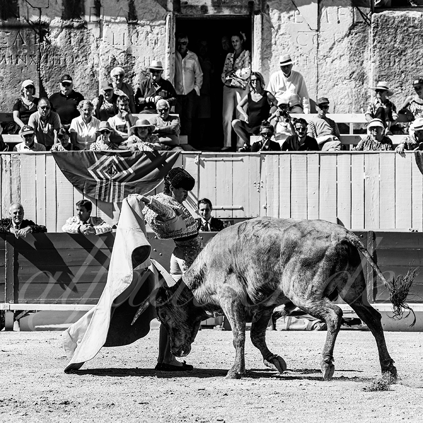 20220911 nsp arles 005