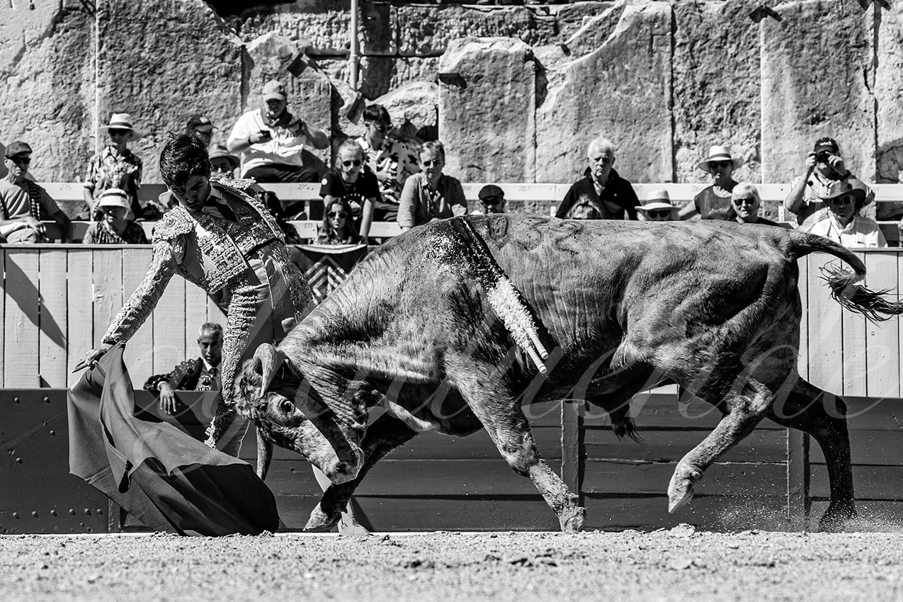 20220911 nsp arles 006