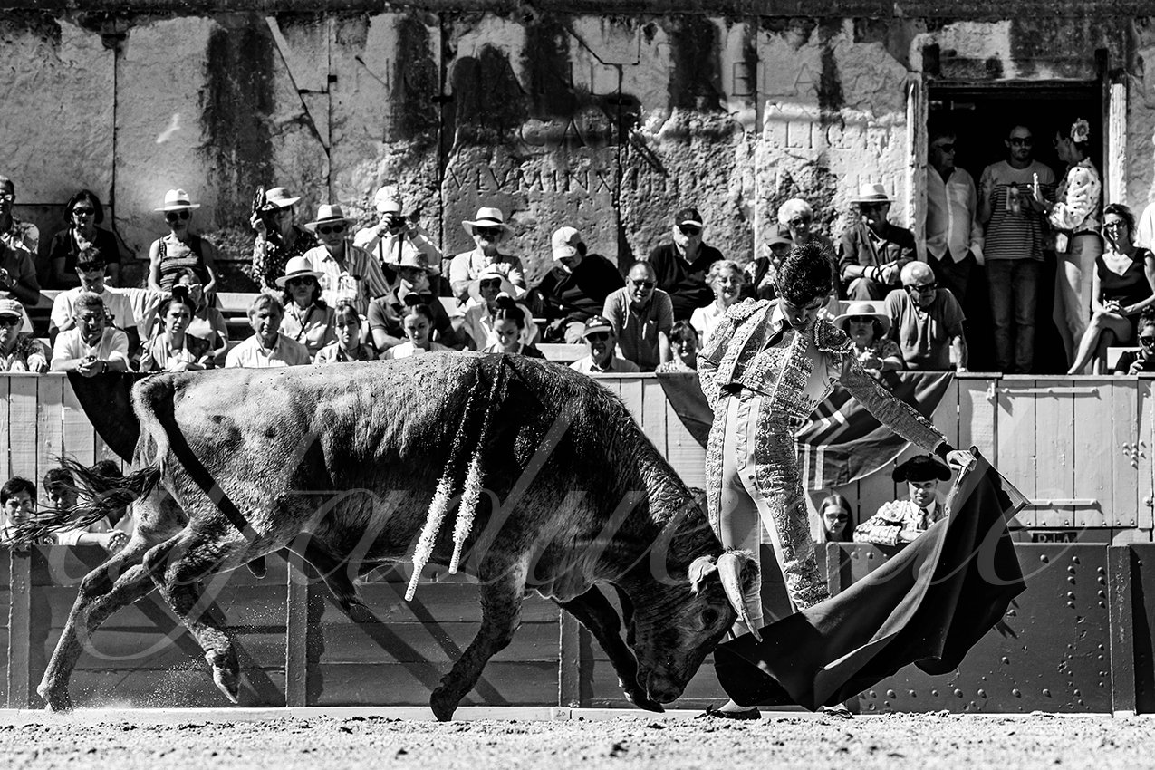 20220911 nsp arles 008