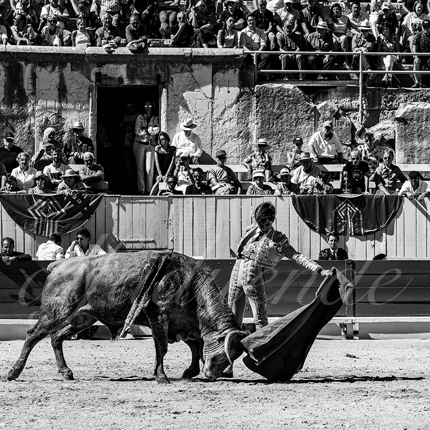 20220911 nsp arles 009