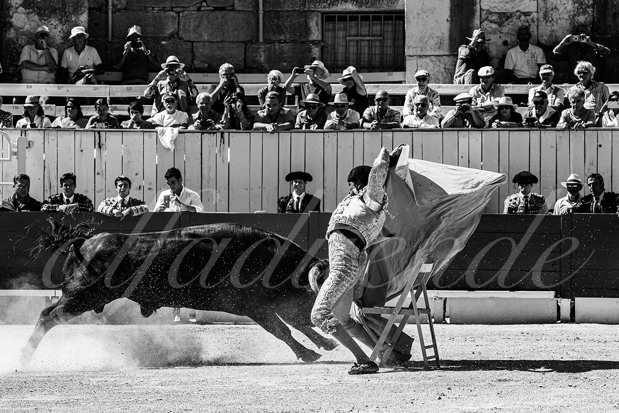 20220911 nsp arles 010