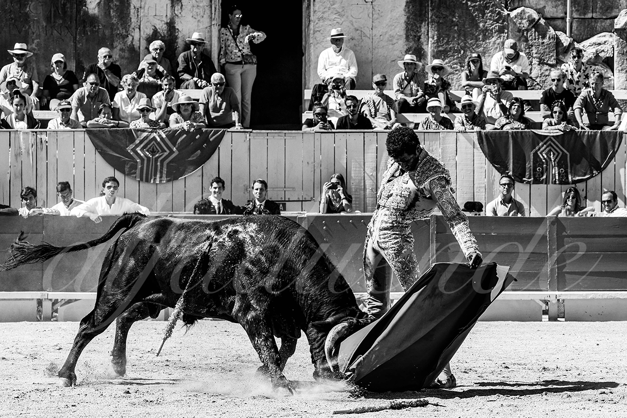 20220911 nsp arles 012