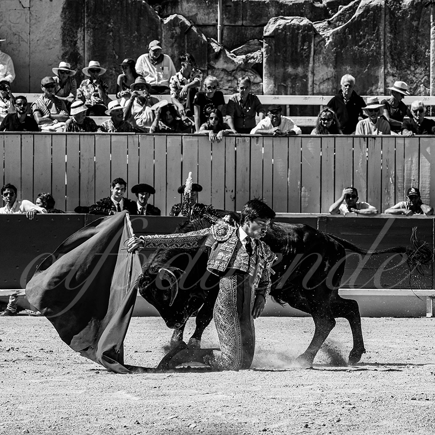 20220911 nsp arles 013