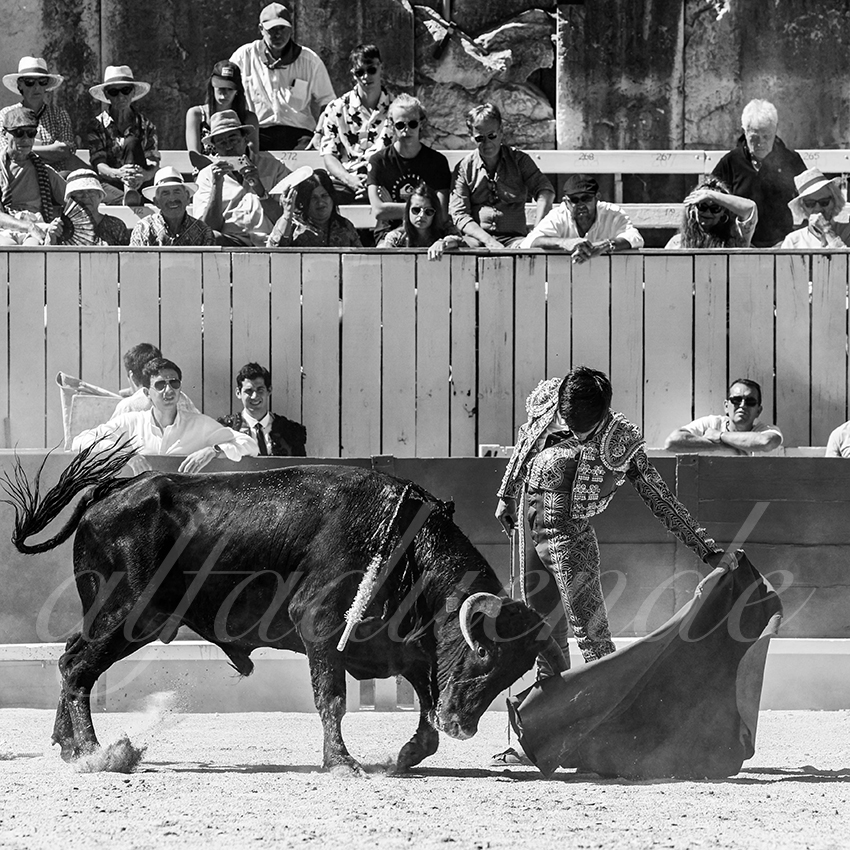 20220911 nsp arles 014