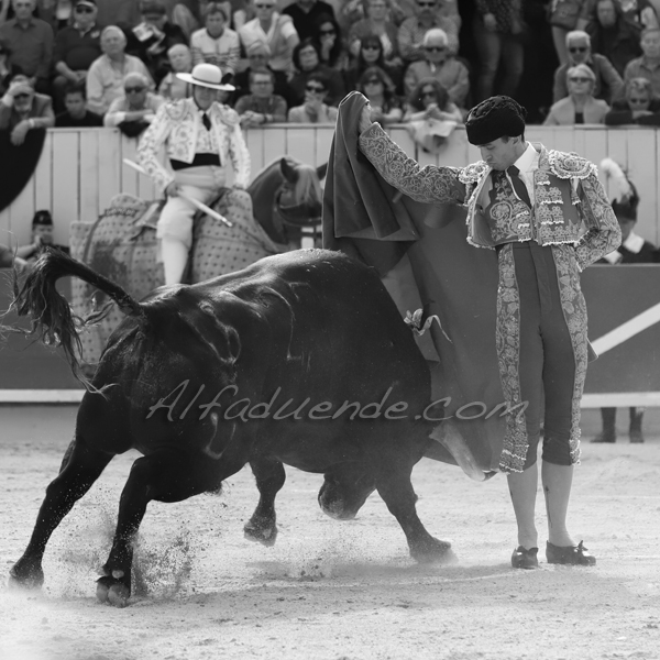 Img 4245 jpg20190422 arles