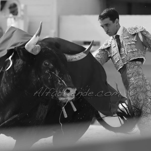 Img 4297 jpg20190422 arles