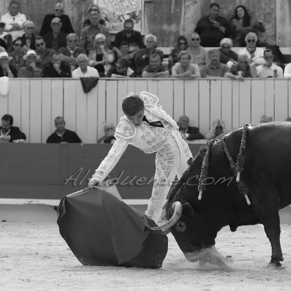 Img 4593 jpg20190422 arles