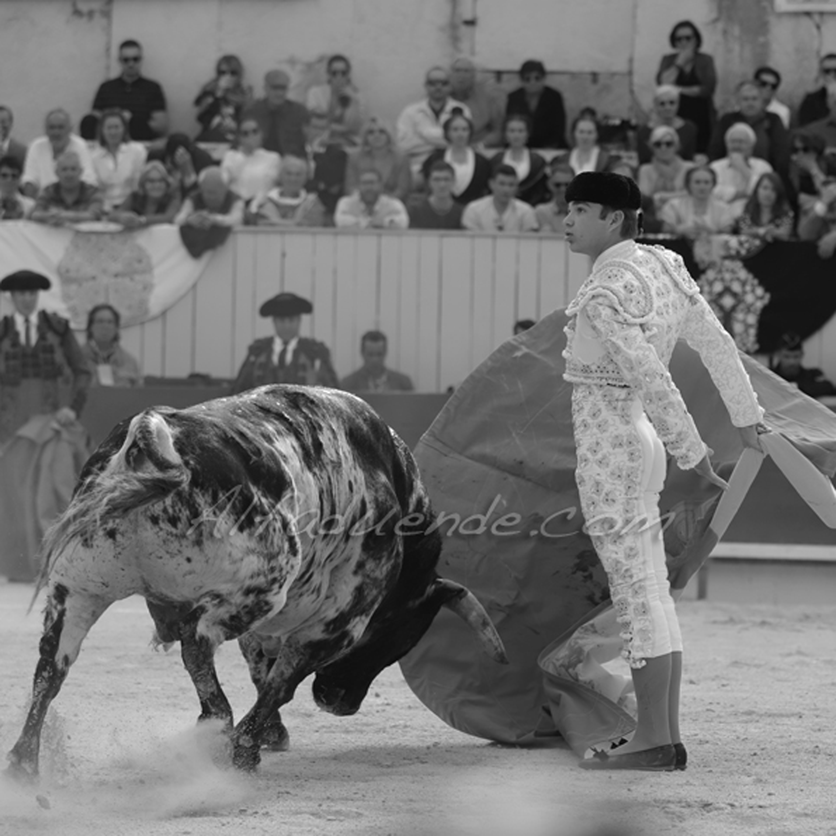 Img 4711 jpg20190422 arles